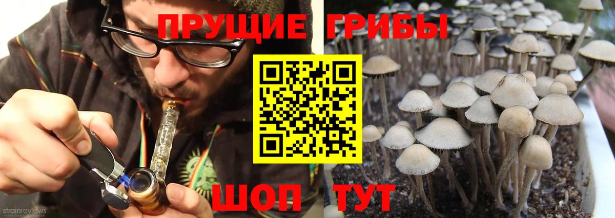 Псилоцибиновые грибы MAGIC MUSHROOMS Нефтеюганск